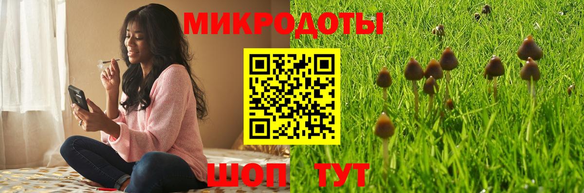 Камышин  Галлюциногенные грибы Psilocybine cubensis  Вход с VPN  Галлюциногенные грибы ЛСД 