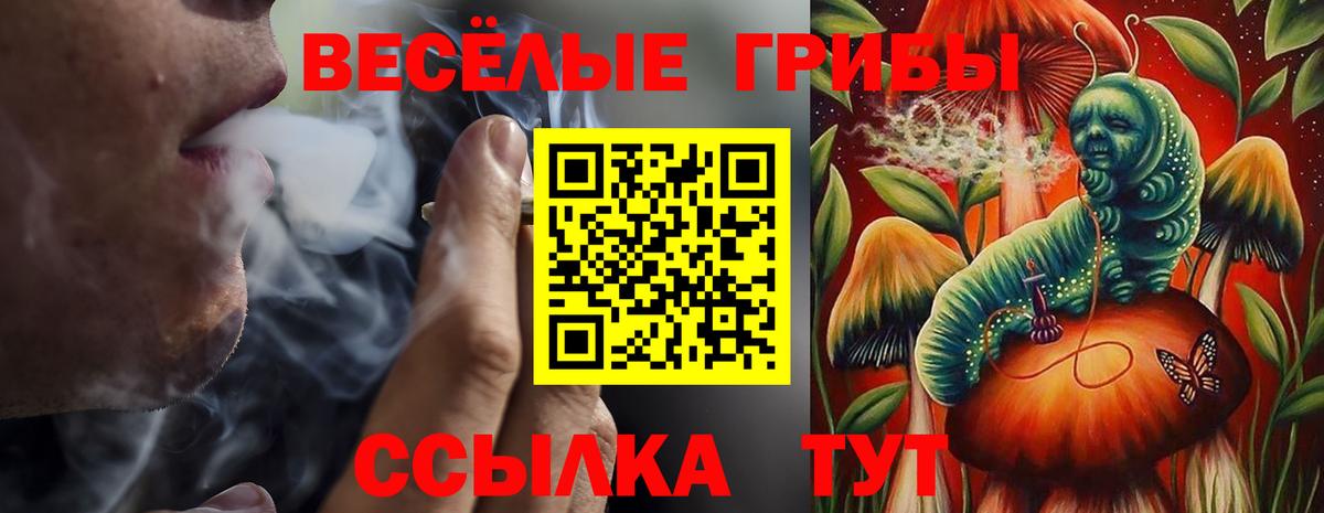 Галлюциногенные грибы мицелий Камышин